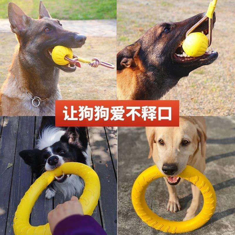 Bóng Huấn Luyện Chó Răng Chống Cắn Bóng Đồ Chơi Frisbee Kéo Vòng Huấn Luyện Chó Chăn Cừu Đức Rottweiler Thiết Bị Huấn Luyện Chó