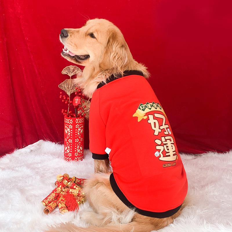 Quần áo cho chó lớn Lễ hội năm mới mùa thu và mùa đông chó tha mồi vàng Labrador chó và thỏ vừa và lớn Lời chúc mừng năm mới quần áo mùa đông