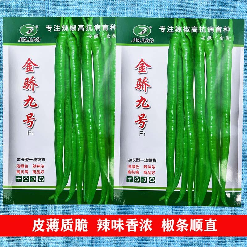 Jinjiao số 9 dòng tiêu năng suất cao hạt tiêu mùa xuân hạt tiêu hạt giống rau bốn mùa hạt giống rau siêu cay