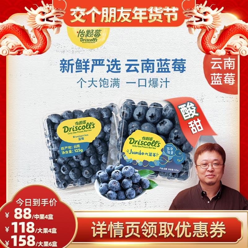 [Luo Yonghao Live Broadcast] Quả việt quất tươi Yikeberry Vân Nam, trái cây chua ngọt vừa/trái cây lớn 125g/hộp