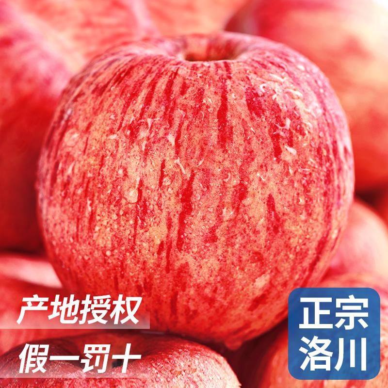 Shaanxi Luochuan Apple Trái cây tươi đích thực Màu đỏ theo mùa Trái tim Fuji Bingtang hạng nhất Pingguo 10 Jin FCL