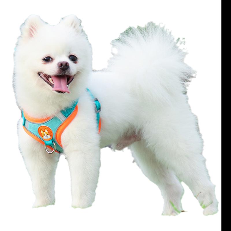 Dây xích chó con kiểu vest nổi tiếng trên Internet cho chó nhỏ Teddy Bichon Pomeranian thú cưng ôm ngực túi bé chó con chó đi dạo