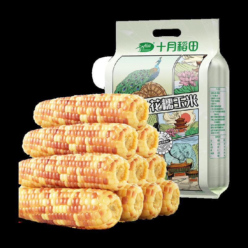 Cánh đồng lúa tháng 10 Vân Nam hoa nhỏ Ngô sáp 1,5kg lõi ngô, ngô, các loại ngũ cốc, ngô nếp ngọt đóng gói chân không