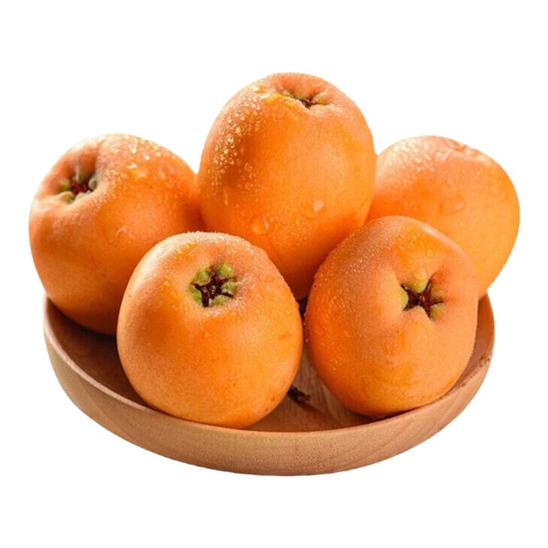 SF Express đích thực Yunxiao loquat tươi 5 pound trái cây cực lớn theo mùa cả hộp được chọn theo lô trái cây ngọt miễn phí vận chuyển