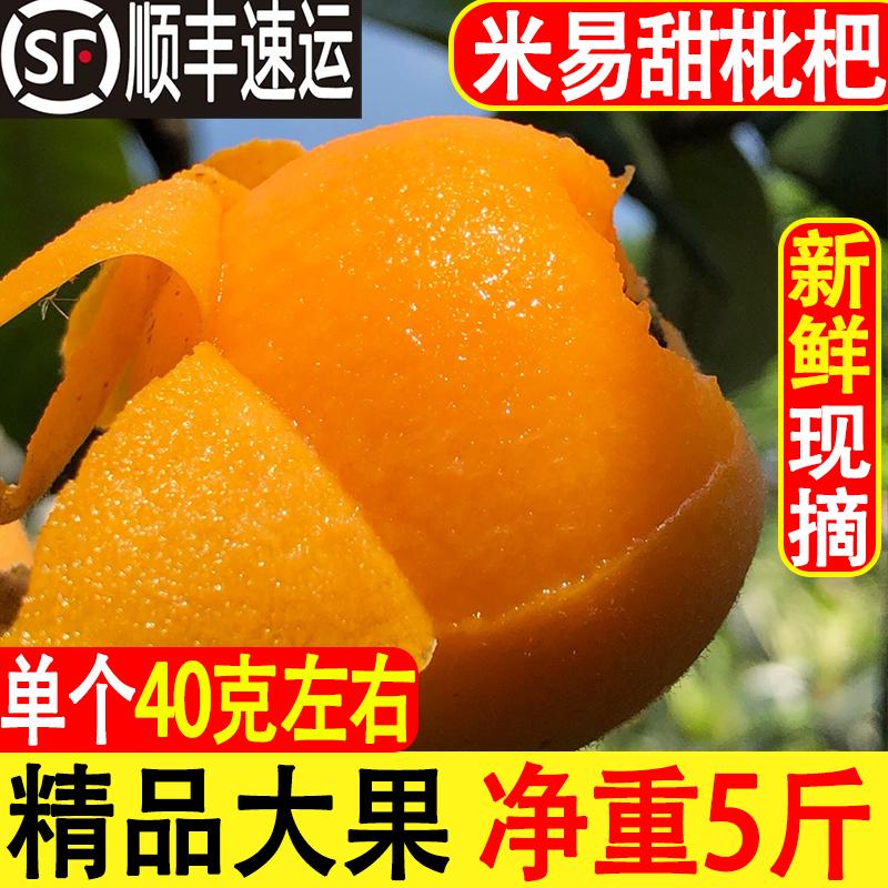 Super Panzhihua Miyi loquat trái cây tươi lớn Tứ Xuyên trái cây tươi năm sao lớn 5 catties Shunfeng miễn phí vận chuyển