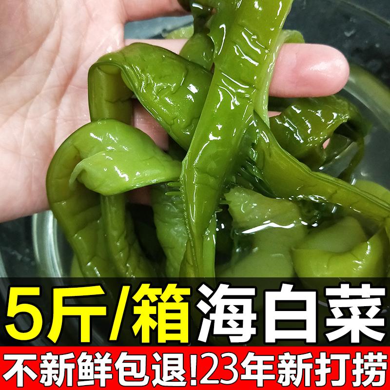 Phần thân bắp cải biển tươi muối wakame 5 catties hàng bán khô thương mại rong biển không ăn liền tảo bẹ cần tây biển