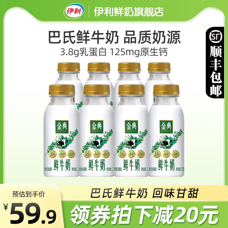 Sữa tươi Yili Jindian 235ml*8 Đóng chai Dinh dưỡng tươi thanh trùng nguyên chất béo Sữa dành cho bữa sáng dành cho trẻ em dành cho phụ nữ mang thai