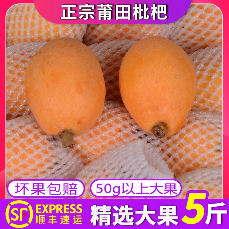 Shunfeng miễn phí vận chuyển Phúc Kiến loquat trái cây tươi lớn 5 catties trái cây theo mùa Putian Shufeng ngọt ngào trái cây lớn mới hái