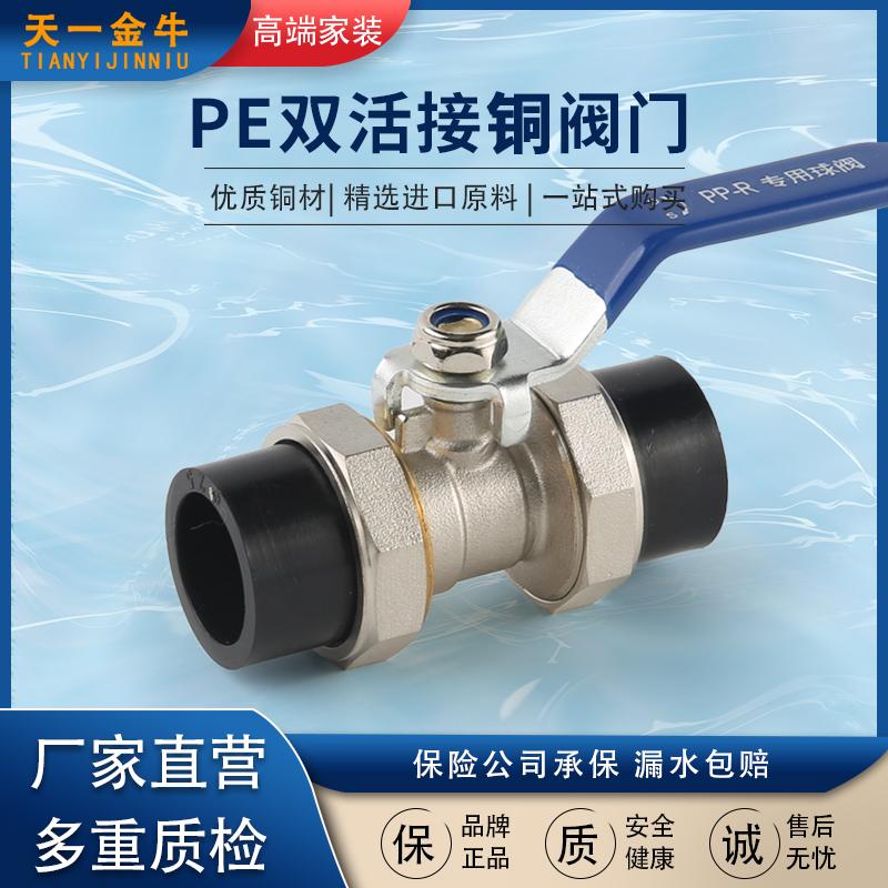 Tianyi Taurus PE đôi van bi đồng trực tiếp Phụ kiện ống PE 20 phút 4 phút 25 van bi đen 6 phút Van 1 inch 32PE