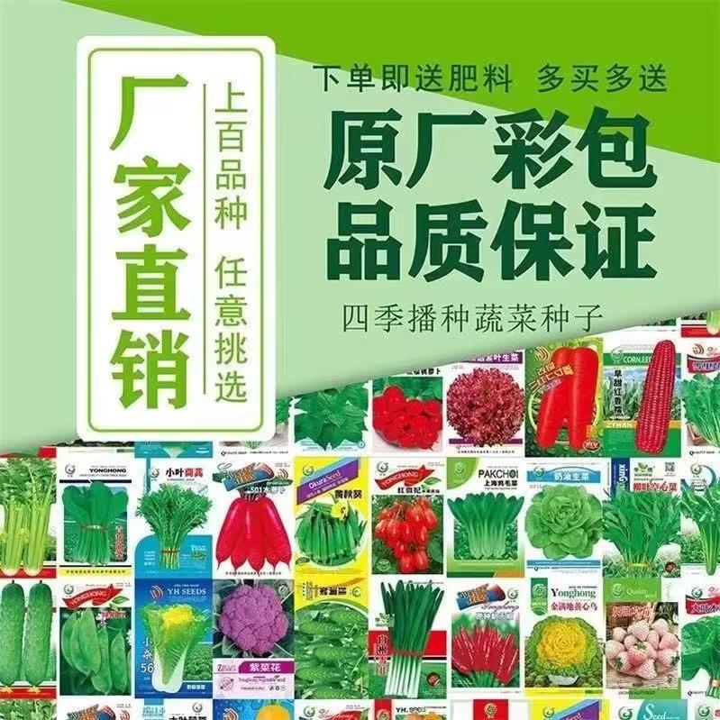 Danh sách đầy đủ các loại hạt giống rau thường được sử dụng trong các hộ gia đình: rau xanh nhỏ, gà lôi xanh Thượng Hải, chậu cây trồng trong ban công gia đình xanh Tô Châu, ngoài trời