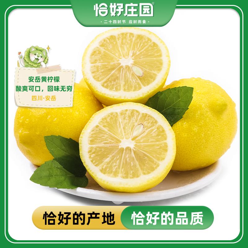 [Just Manor] Tứ Xuyên Anyue Yellow Lemon 15 viên, bán ngay, tươi, miễn phí vận chuyển nguyên hộp