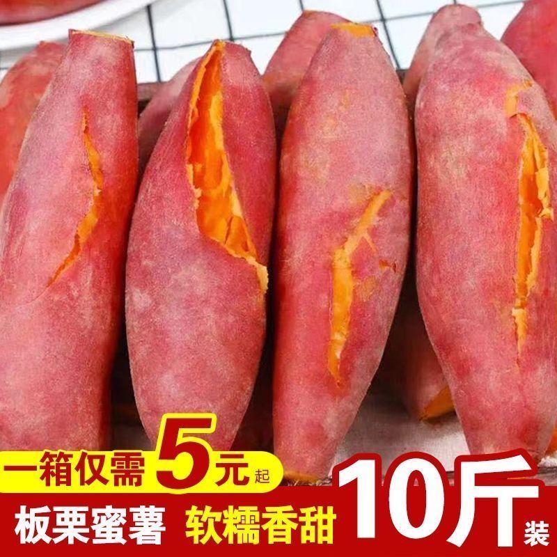 9 pound khoai lang tươi, hạt dẻ tươi, khoai lang nướng, khoai lang tẩm đường, khoai lang trồng trong trang trại cát