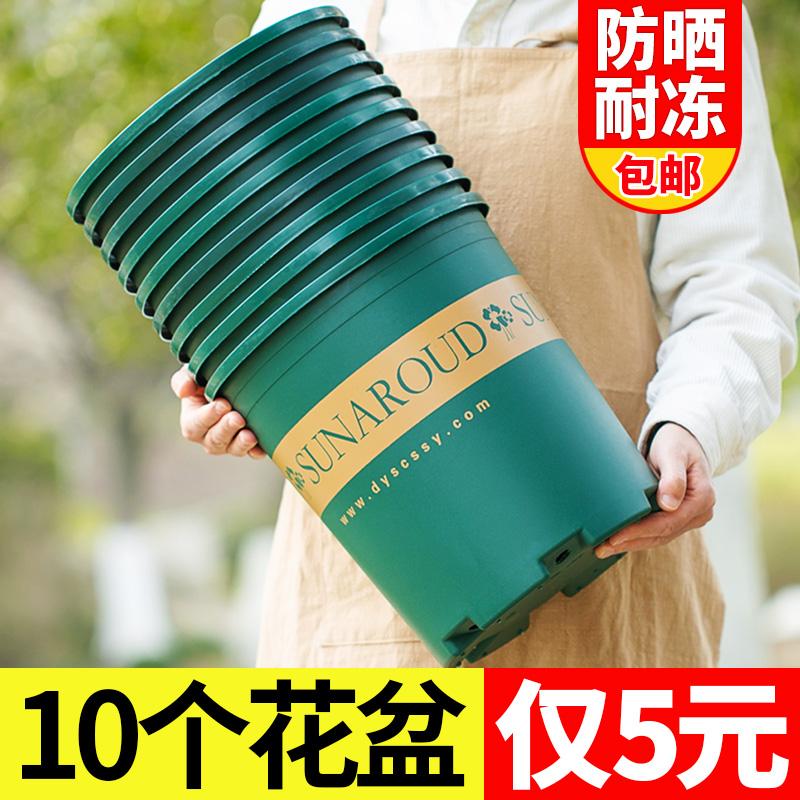 Chậu hoa nhựa gia dụng dày ban công phòng khách cây cảnh chậu hoa mọng nước gallon chậu nhện vàng phong lan chậu đặc biệt