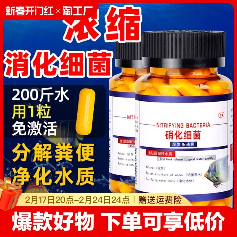 Nitrobacter bể cá viên nang đặc biệt lọc nước vi khuẩn sống bột khô nuôi cá bể cá tiêu hóa methylene đậm đặc