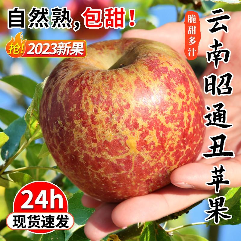 Vân Nam Zhaotong Xấu xí Apple Rock Candy Heart Apple Trái cây tươi Theo mùa Toàn bộ Hộp 10 Jin Miễn phí Vận chuyển Daliangshan Apple