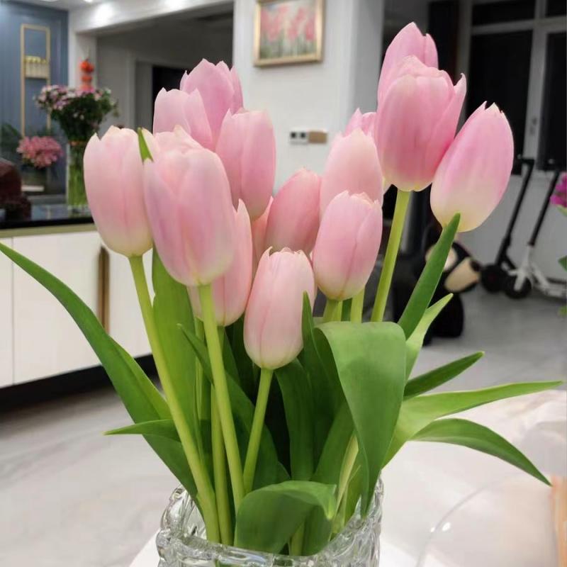 Hạt Giống Hoa Tulip Bóng 5 Độ Bóng Nhập Khẩu Hoa Thủy Canh Đất Nuôi Trồng Chống Lạnh Trong Nhà Ban Công Cây Chậu Hạt Giống Hoa