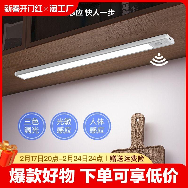 Đèn LED tổng thể tủ có thể sạc lại cơ thể con người cảm ứng dải đèn không dây bếp tủ rượu tủ quần áo có đèn ngủ nhà ngủ đèn ngủ