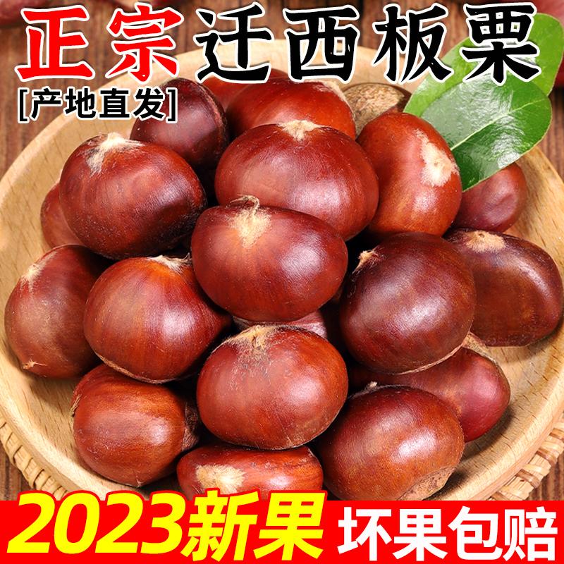 Hạt dẻ Qianxi 2023 hạt dẻ hữu cơ mới hái đúng mùa hạt dẻ dầu lớn chính hãng hạt dẻ nhỏ hạt kê thô