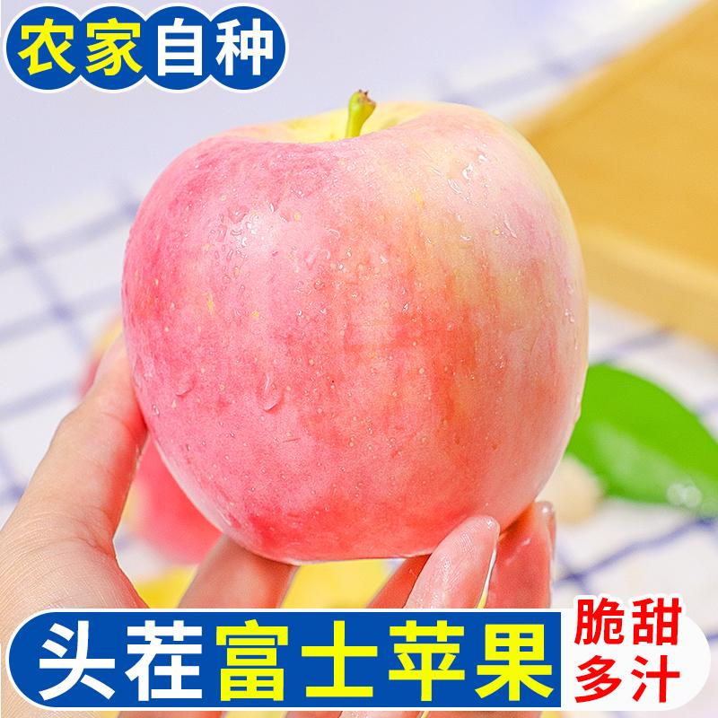 Thiểm Tây Red Fuji Apple 5 pounds trái cây tươi trong mùa Chou Ping trái cây nguyên hộp Gala Apple kẹo đá trái tim miễn phí vận chuyển