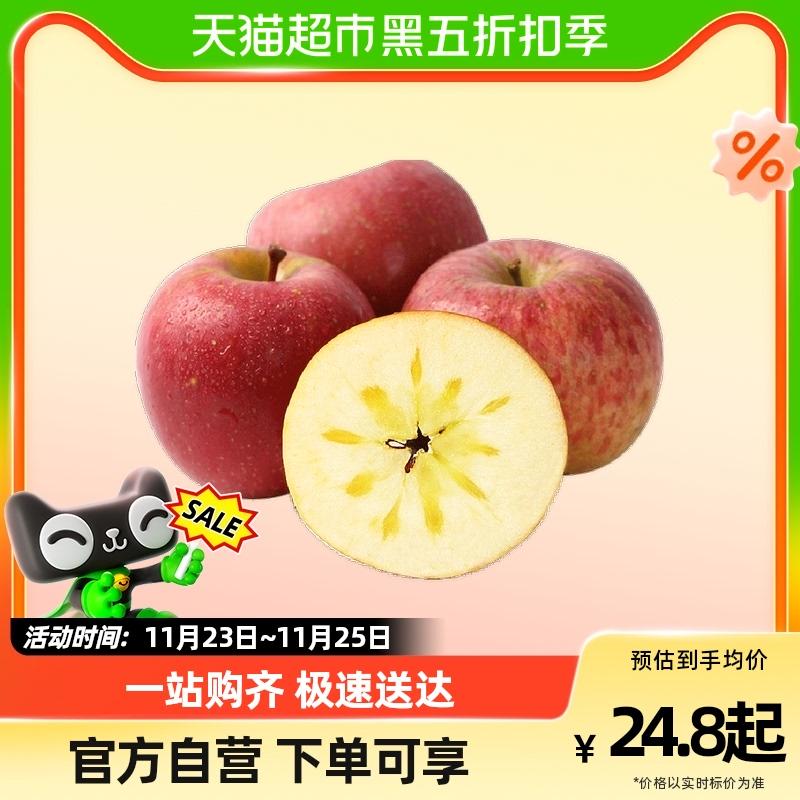 Vân Nam Xấu xí Apple Fuji Rock Candy Heart Apple 3/5 catties quả đơn 75mm + trái cây tươi cả hộp miễn phí vận chuyển