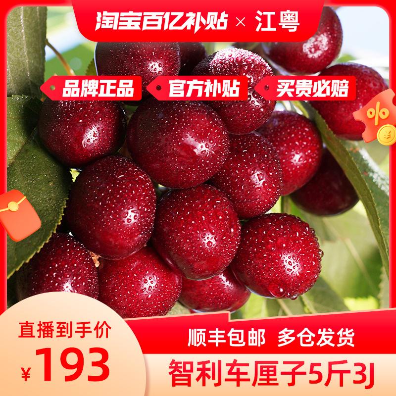 [Trợ cấp mười tỷ Taobao] Giao hàng trước 24h ngày 16/1 | Hộp quà Big Cherry 5 Jin 3J Big Cherry T