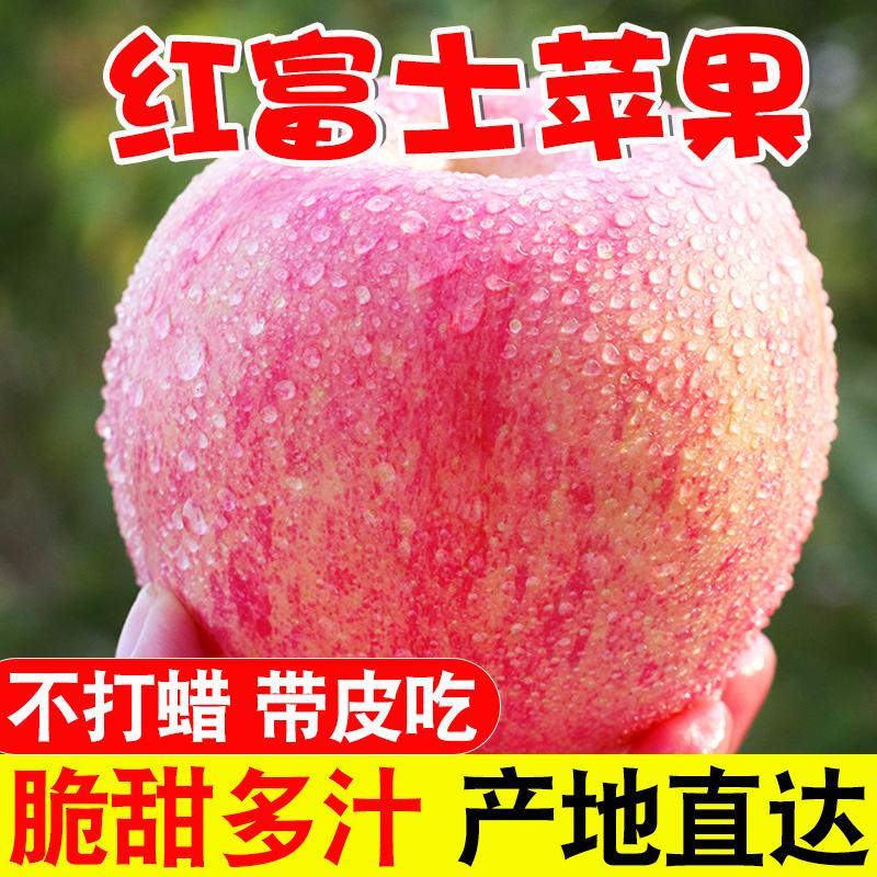 Apple Fruit Red Fuji Shanxi Red Fuji Apple Fresh Fruit Apple Sweet và sảng khoái Orchard Tóc thẳng Full Box