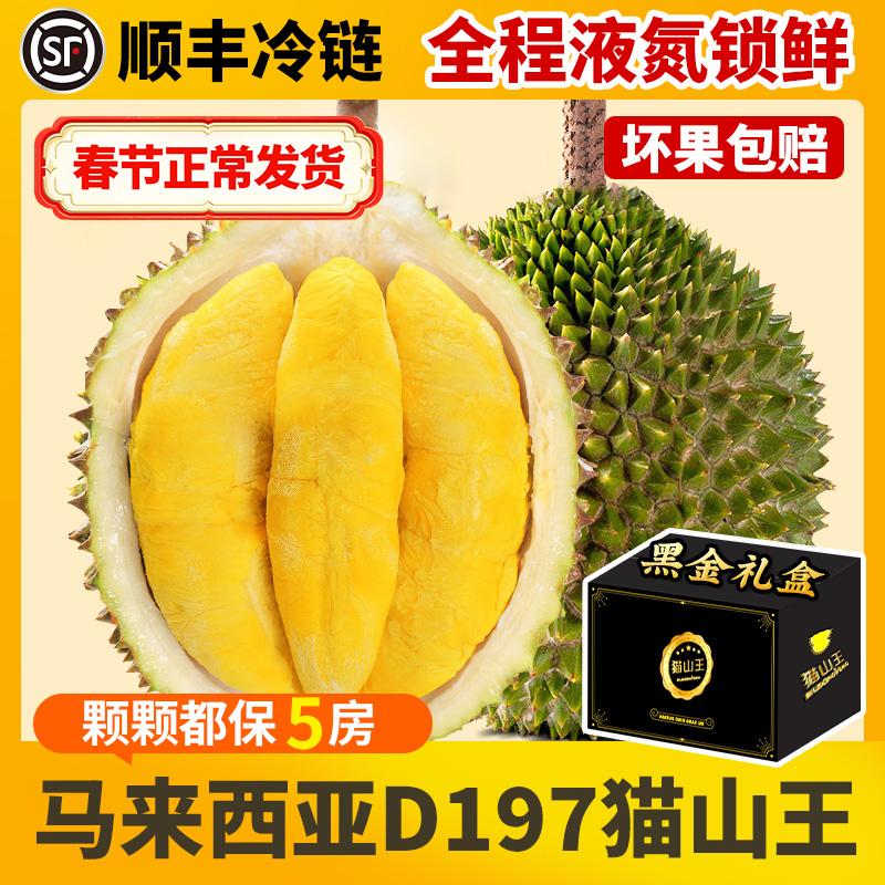 Malaysia Musang King Sầu Riêng Chính Hãng D197 Hộp Quà Tặng Nitơ Lỏng Nhập Khẩu SF Express Miễn Phí Vận Chuyển Trái Cây Tươi Một Nguyên Bộ