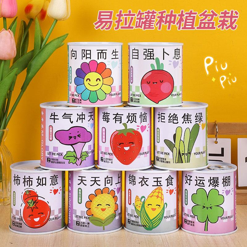 Trẻ em đóng hộp sáng tạo nhỏ chậu quà tặng canh tác để bàn mini cây xanh dâu hướng dương trồng hạt giống mù hộp