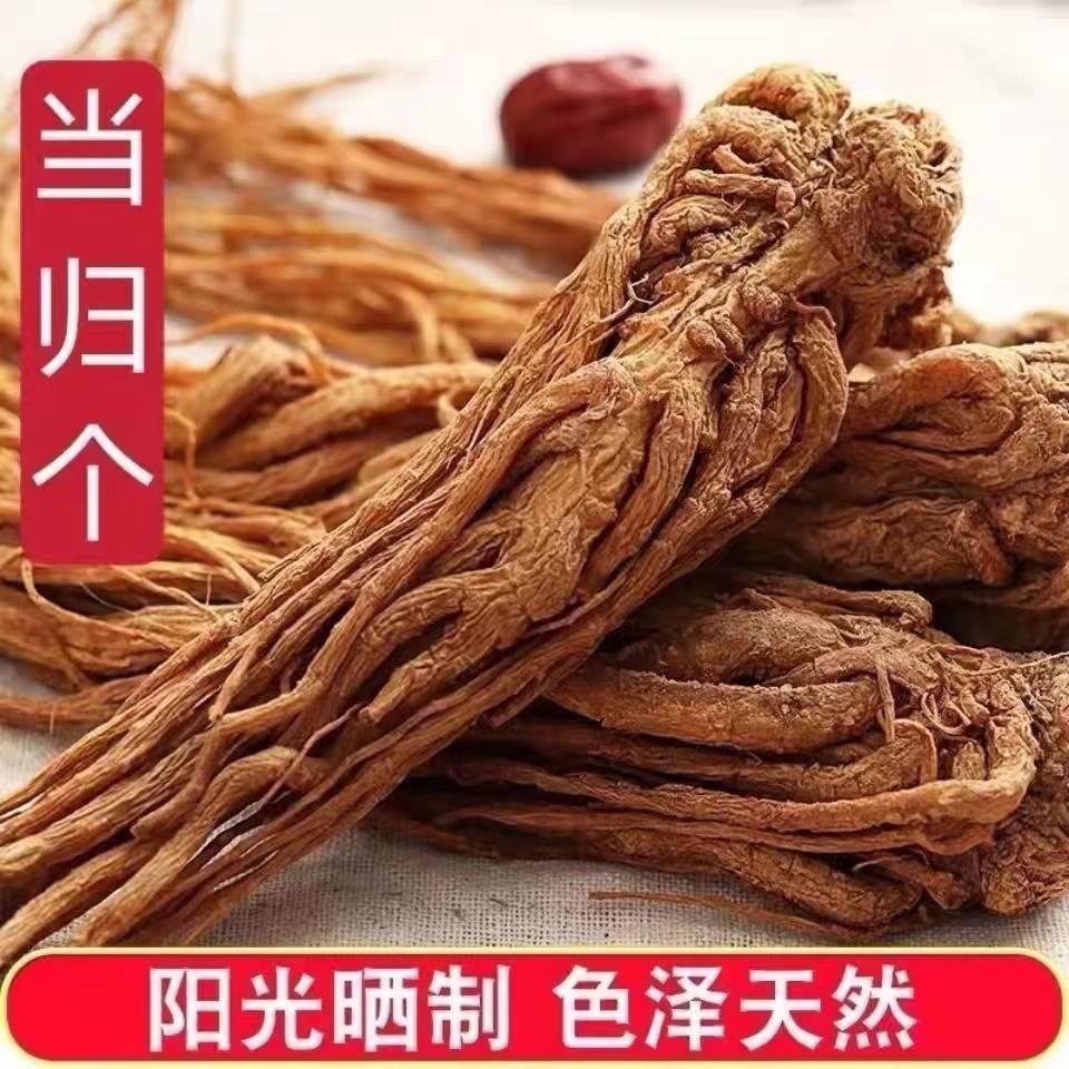 Angelica Minxian Y học cổ truyền Trung Quốc Toàn bộ rễ 500g Cam Túc Y học cổ truyền Trung Quốc Loại đặc biệt Chính hãng và Codonopsis Astragalus