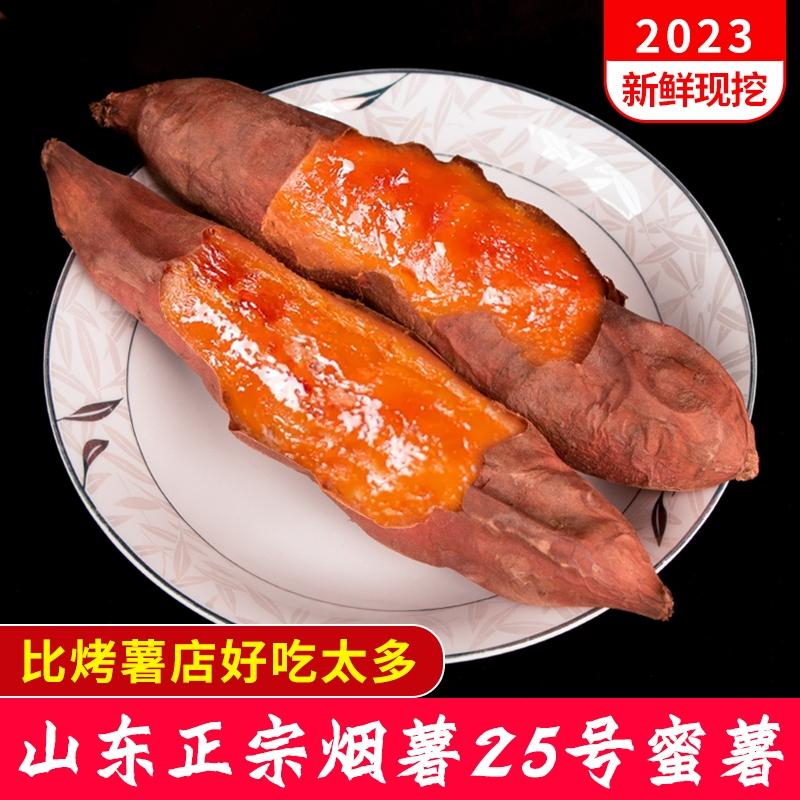 Shandong Yanshu Số 25 khoai lang mật ong khoai lang khoai lang tươi trang trại khoai lang nướng cát khoai lang 9 pounds