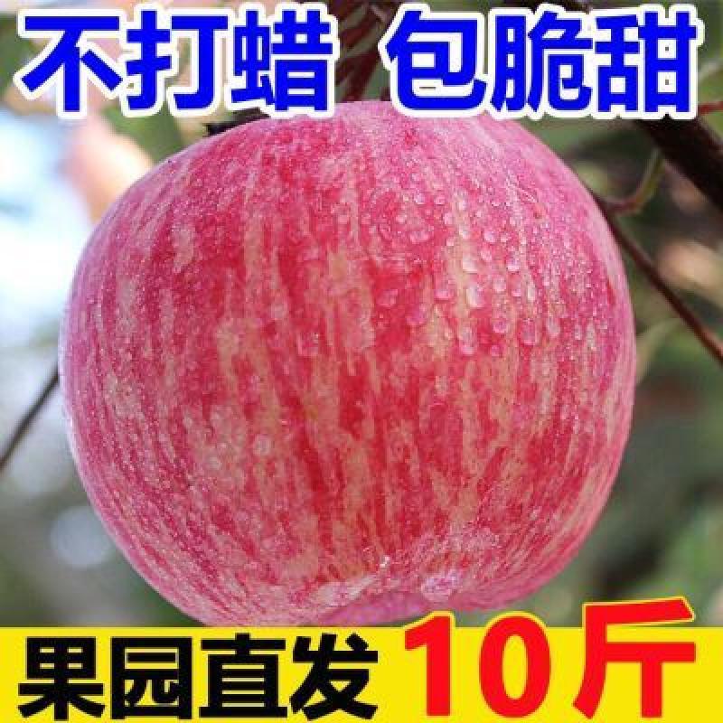 Thiểm Tây Red Fuji Apple 10 pound trái cây tươi nên được mùa Luochuan đường đá trái tim xấu xí trái cây dẹt cả hộp miễn phí vận chuyển giòn và ngọt