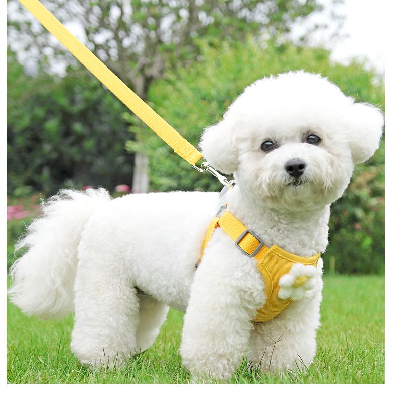 Dây Xích Chó Áo Vest Phong Cách Nhỏ Chó Teddy Bichon Pomeranian Chó Đi Bộ Dây Xích Chó Con Ôm Ngực Túi Cho Bé Dây Xích Chó