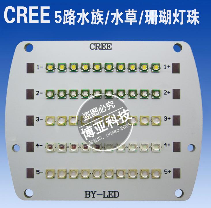 Guanghong CREE hạt đèn 5 chiều LED cao cấp cá biển hồ cá nước cỏ vật có san hô chiếu sáng lấp đầy bóng đèn